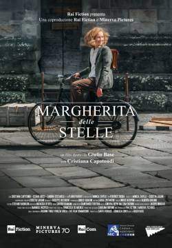 Margherita delle stelle